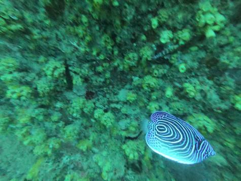 bb66e864 9f7e 4a89 919a 4a199414ea69