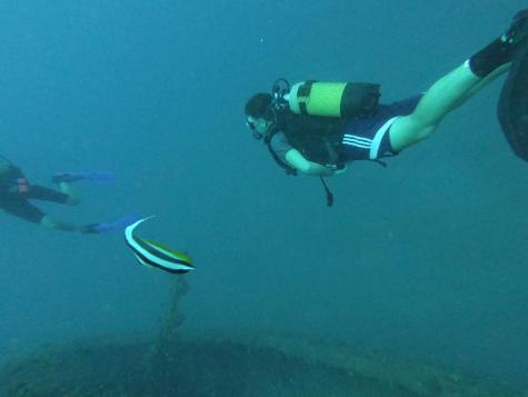 e0ee26ad 8e99 499b 82c4 90e06bbb9d50