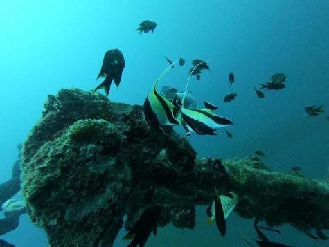 f2166afd 4402 455d b6c2 34e7cf929053